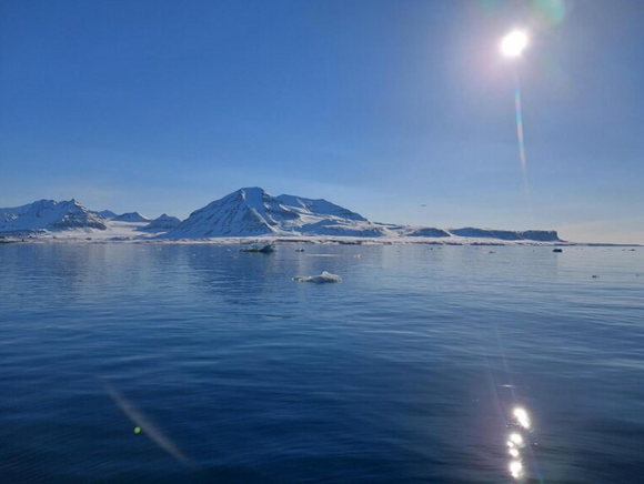 Lave temperaturer og lange vintre til tross: Arktiske havområder er fulle av liv. For forskerne er det viktig å forstå de komplekse klima- og økosystemprosessene i det nordlige Barentshavet <i>Foto:  Tore Mo-Bjørkelund</i>