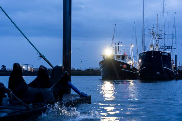 En filippinsk sjømann, Reyner Dagalea, har fortalt at han i månedsvis ble værende på fiskebåten Dayna S mens han ventet på lønn. Bildet er fra Westport i delstaten Washington og ble tatt i fjor. <i>Foto:  Lindsey Wasson/AP/NTB</i>