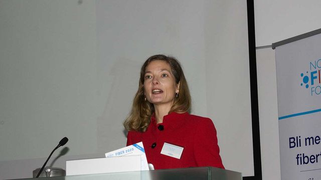 Offentlige bredbåndsmidler gir private investeringer