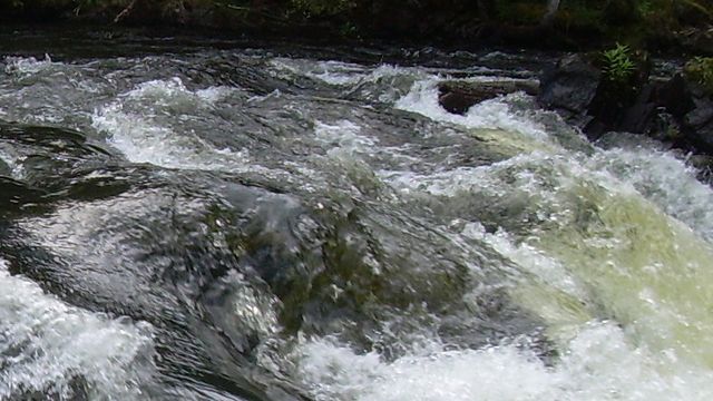Plog
og dynamitt stoppet telenettet