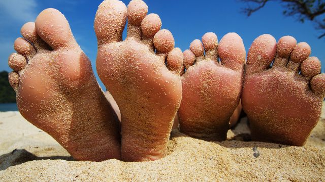 Dette gikk du glipp av i sommer