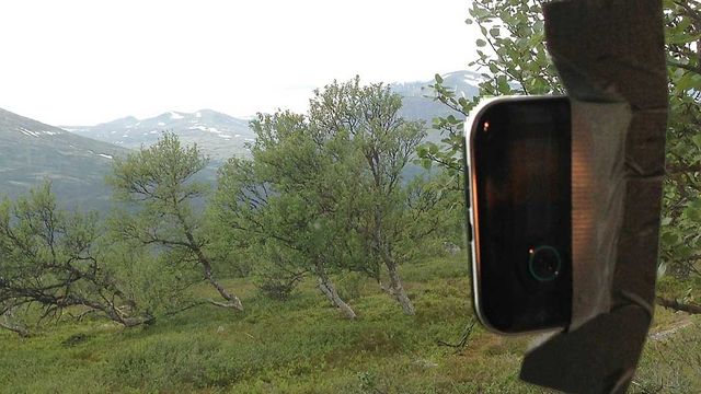 Gaffatape,
3G og Tour de France på hytta
