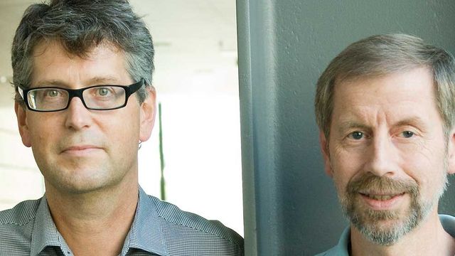 Brut 2.0: Nettet som ikke må feile
