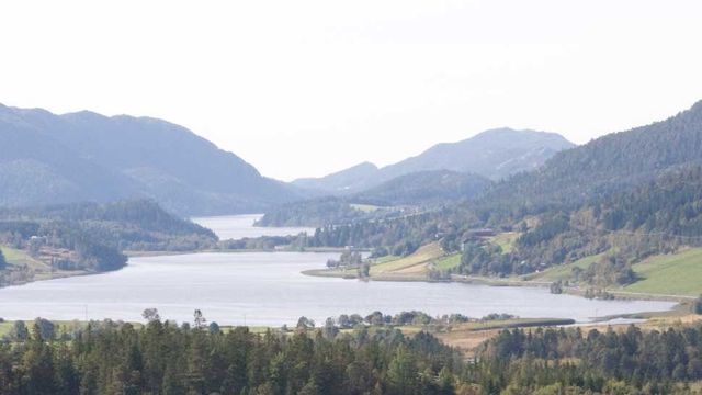 Gevinsten
av bredbånd