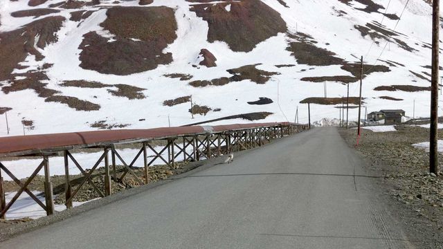 Bruker Svalbard som laboratorium