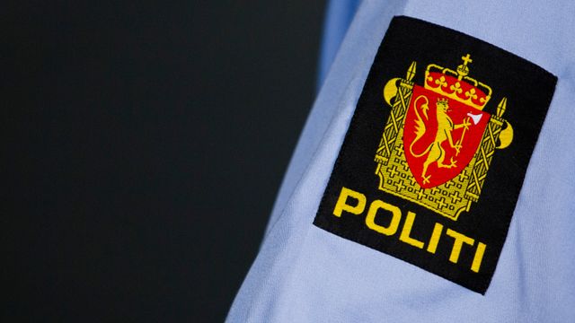 17-åring tilstår de enorme nettangrepene