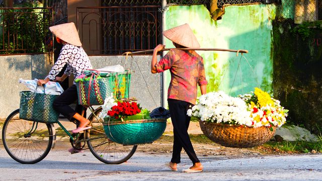 Vietnam neste for Telenor