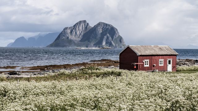 Telenor kan bli snytt for superutbygging
