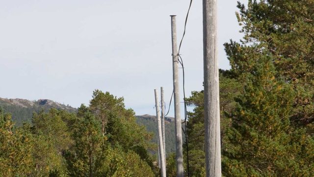 Kobberbredbånd er dødt for Telenor