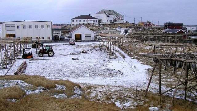 Høye anbud på fergeleie på Røst