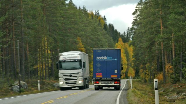 Lokal dominans også i Østerdalen