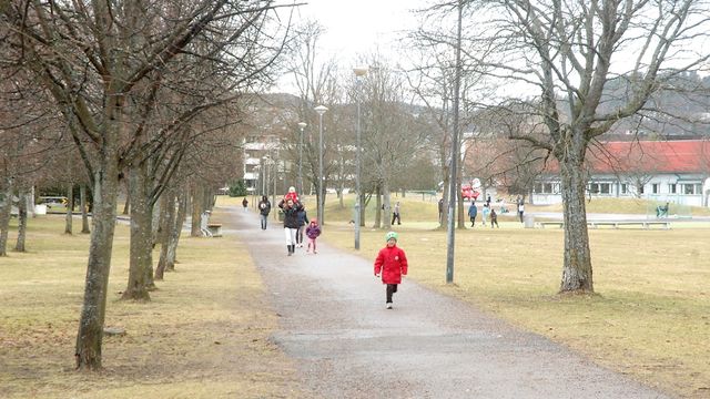Tre km ny gang/sykkelveg på anbud i Oslo