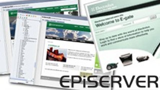 «Alle» i Norge velger svensk webpublisering