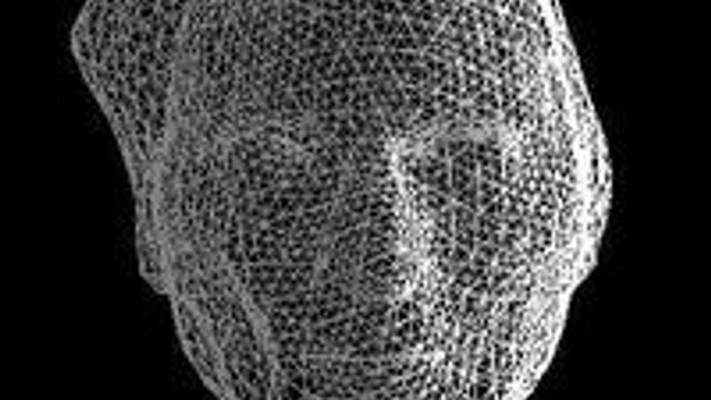 Adobe 3D-format kan bli ISO-standard