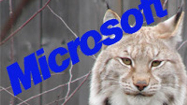 «Lync» er Microsofts nye samhandling