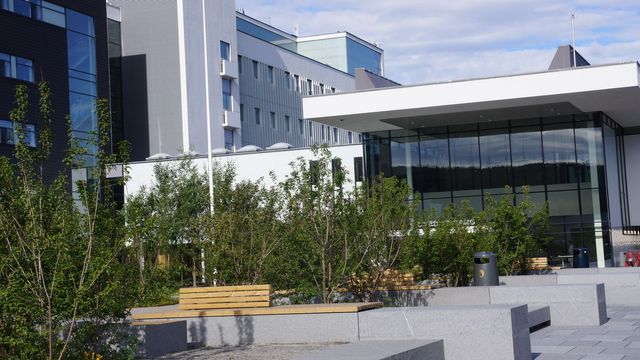 Diskkrasj stanset operasjoner
