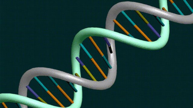 DNA-«maskin» regner kvadratrøtter