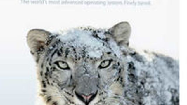 Apple bekrefter datatap-problem