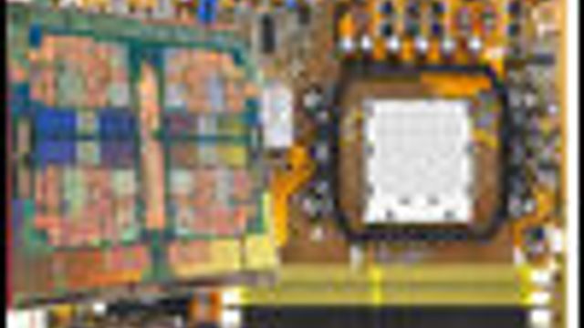 AMD bekrefter trippel-kjernet prosessor