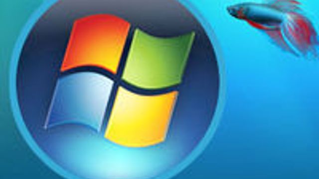 – Alle tjener på Windows 7