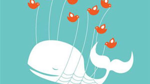 Twitter lover bot og bedring