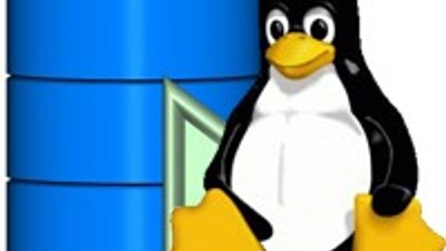 Enorm vekst for Linux til databaser