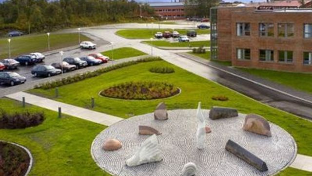 Studenter gir IT-råd til bedrifter