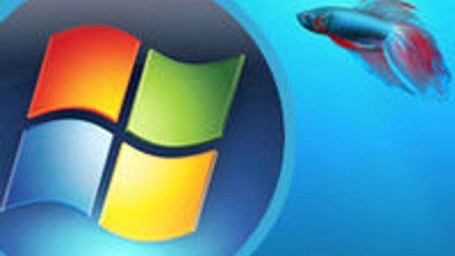 Seks av ti bedrifter uten planer om Windows 7
