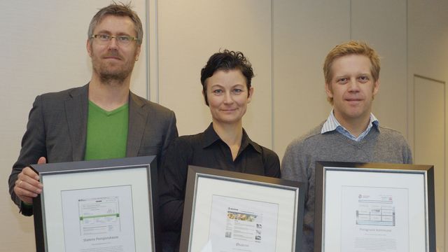 Økokrim best på nett