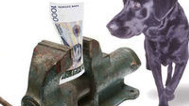 Nettgigant gir opp Europa
