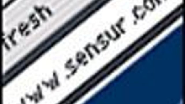 Personvernombud skal sensurere nettinnhold