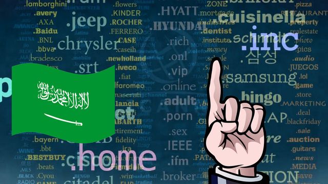 Protesterer mot nye toppdomener