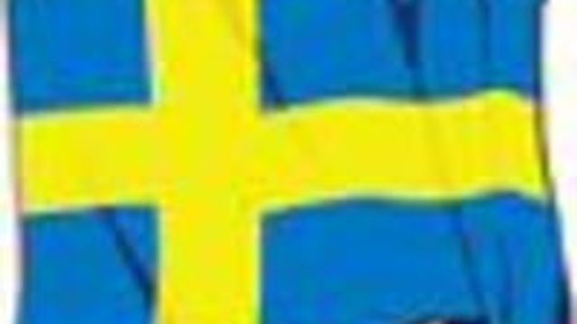 Riksdagen utsatte DLD