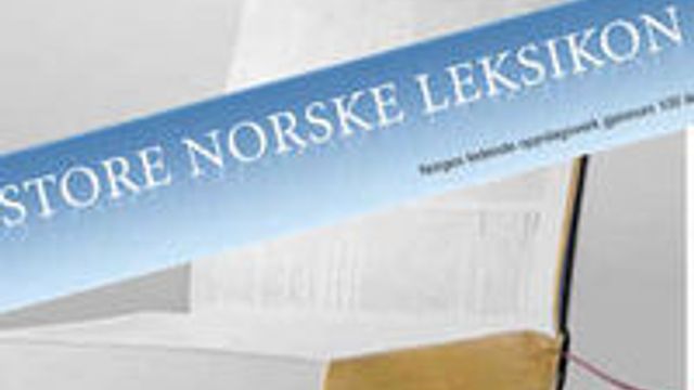 Store Norske fornøyd med debuten