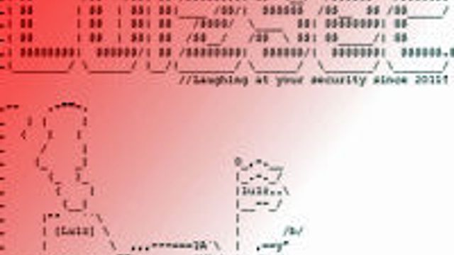 Hackerangrep avslører sårbare datanettverk