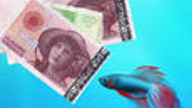 Store prisforskjeller på Windows 7