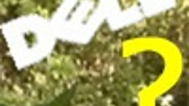 Dell-resultatet falt og usikkerheten øker