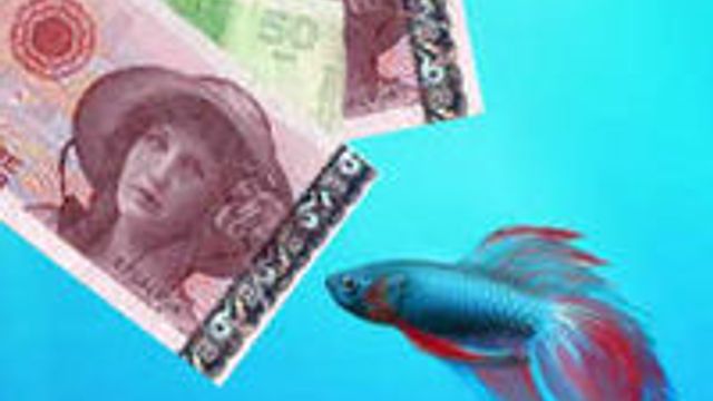 Solgte mistenkelig billig Windows