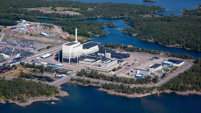 Sel har forvillet seg inn til svensk kjernekraftverk