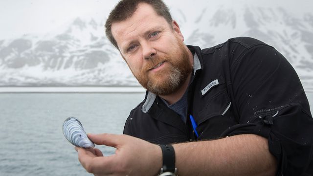 Fossiler av 8000 år gamle blåskjell avslører hvordan klimaet har vært på Svalbard