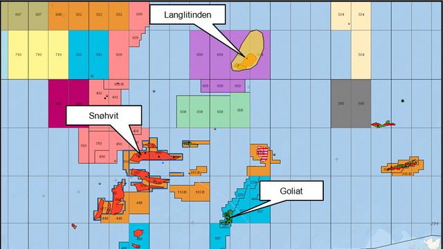 Det norske-funn i Barentshavet
