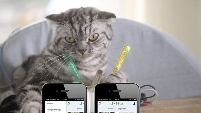 Her er de nye Finn-appene