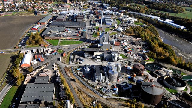 Borregaard satser på at trær kan erstatte olje i kosmetikk og vaskemiddel