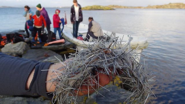 Vegvesenet anmeldes for miljøkriminalitet