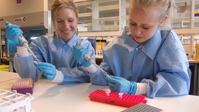 Skal få bakterier til å fungere som organer