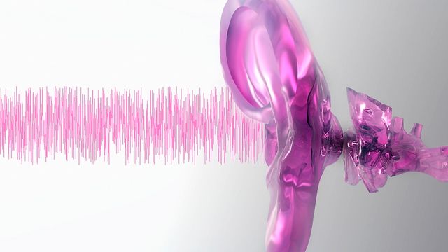 Visste du at øret har innebygget hørselvern?