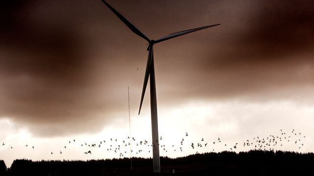 Hva er potensialet for vindkraft i Norge?