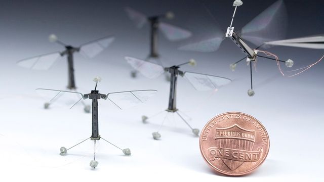 Se verdens minste robot-bie på vingene