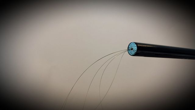 6000 meter langt øre