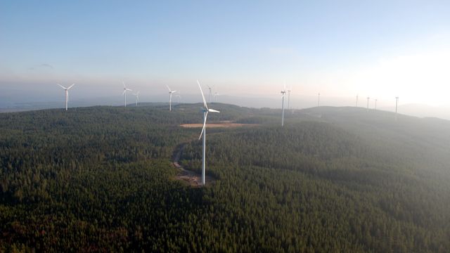 Google betaler svensk vindpark